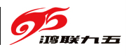 廣東鴻聯九五信息產業有限公司